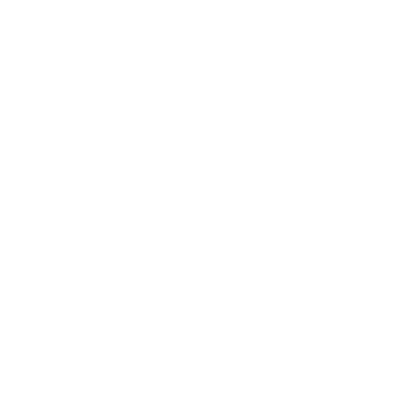 Logo_audit